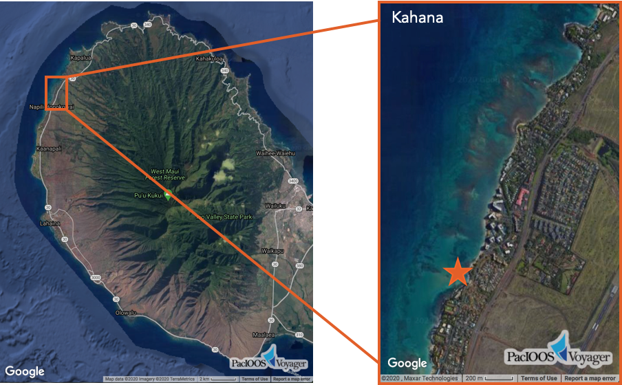 Light Impact Map Kahana
