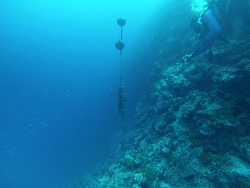 Photo of the instrument site. Photo of the instrument site.