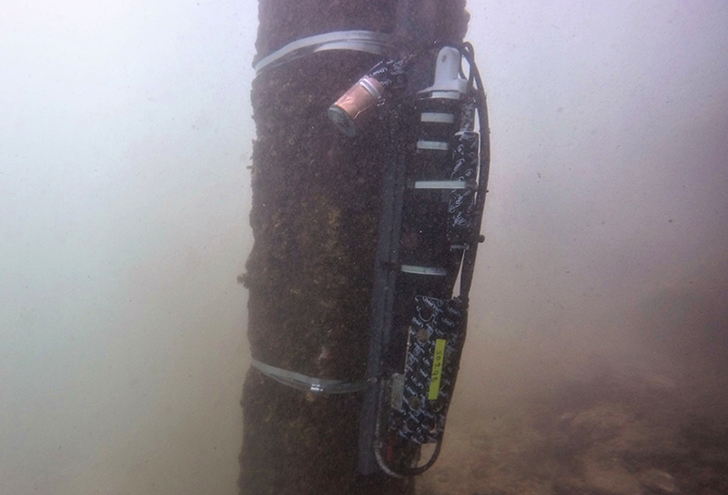 Photo of one of the instrument sites. Photo of one of the instrument sites.