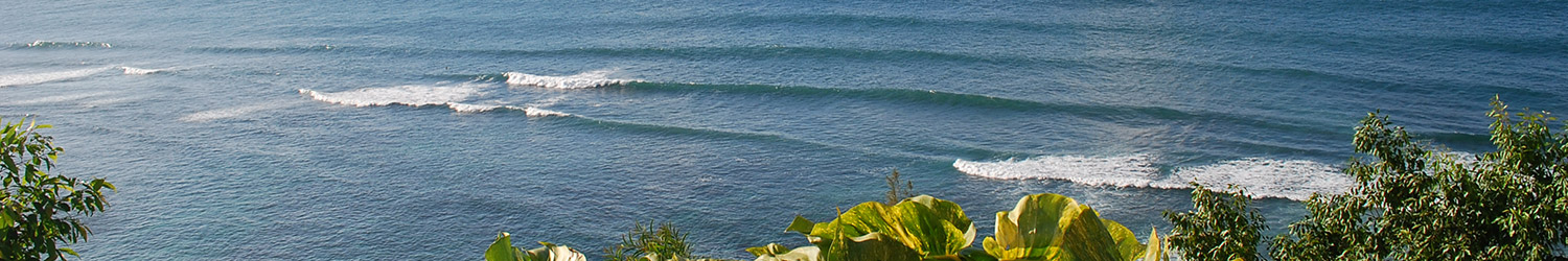 header-waveforecast-kauai