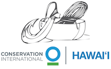 CI Hawaii logo