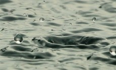 weather-rain-global