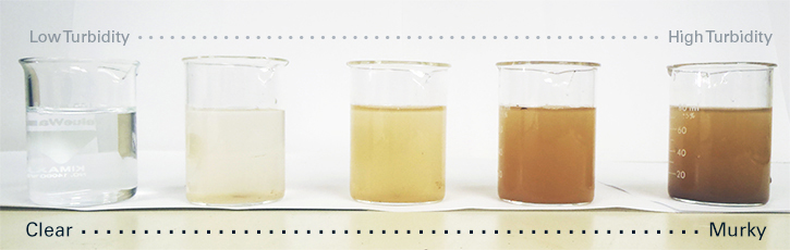 Different water quality samples showing turbidity gradient