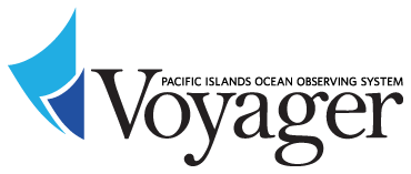 New Voyager logo
