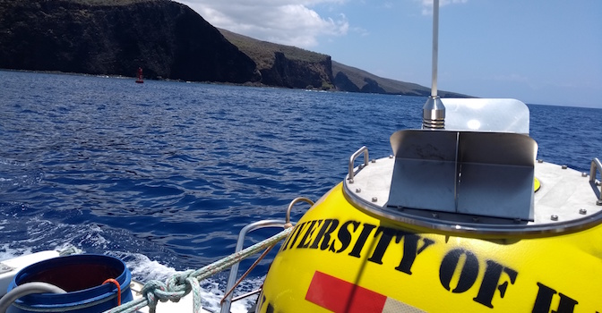 news-lanai-southwest-wave-buoy