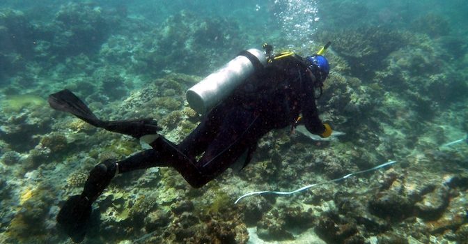 news-bio-micronesia