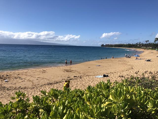 Light Impact North Kaanapali North. Photo credit: Ingrid Eichenbaum. Light Impact Kaanapali North