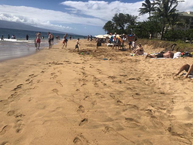 Light Impact North Kaanapali North. Photo credit: Ingrid Eichenbaum. Light Impact Kaanapali North