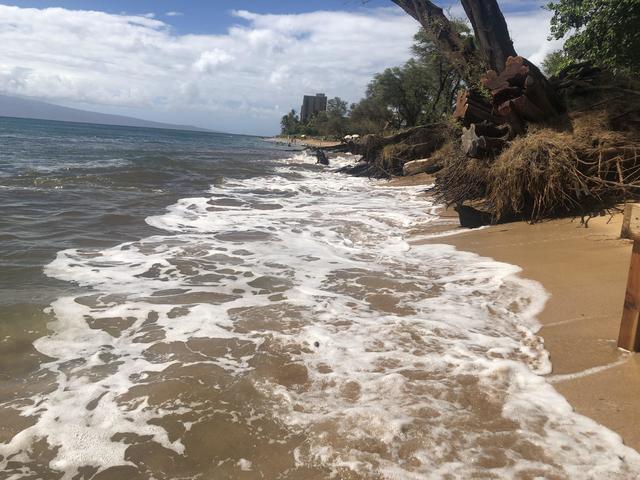 Light Impact North Kaanapali North. Photo credit: Ingrid Eichenbaum. Light Impact Kaanapali North