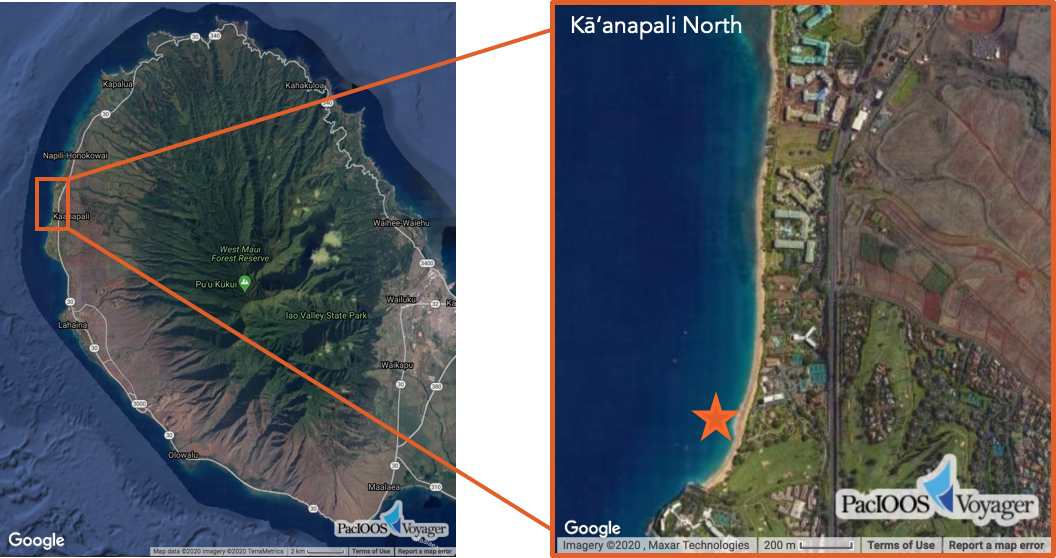 Light Impact North Kaanapali North Light Impact North Kaanapali North
