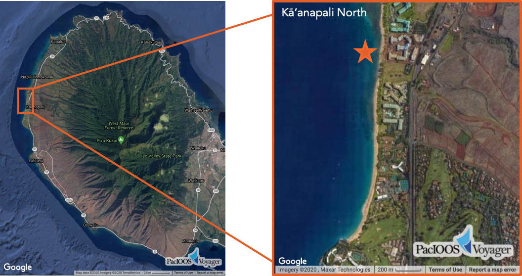 Light Impact North Kaanapali North Light Impact North Kaanapali North