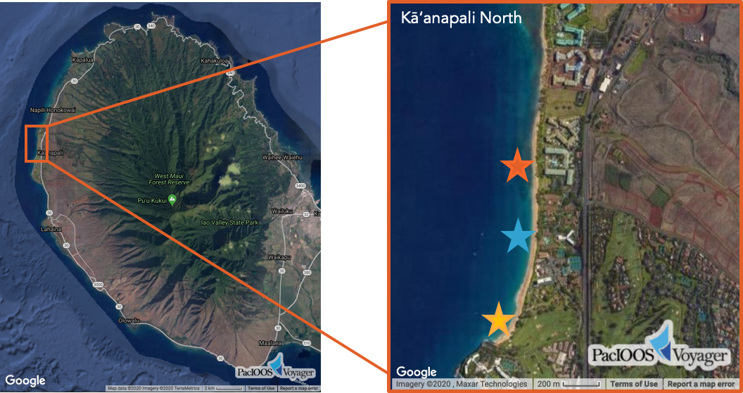 Light Impact North Kaanapali North Light Impact North Kaanapali North