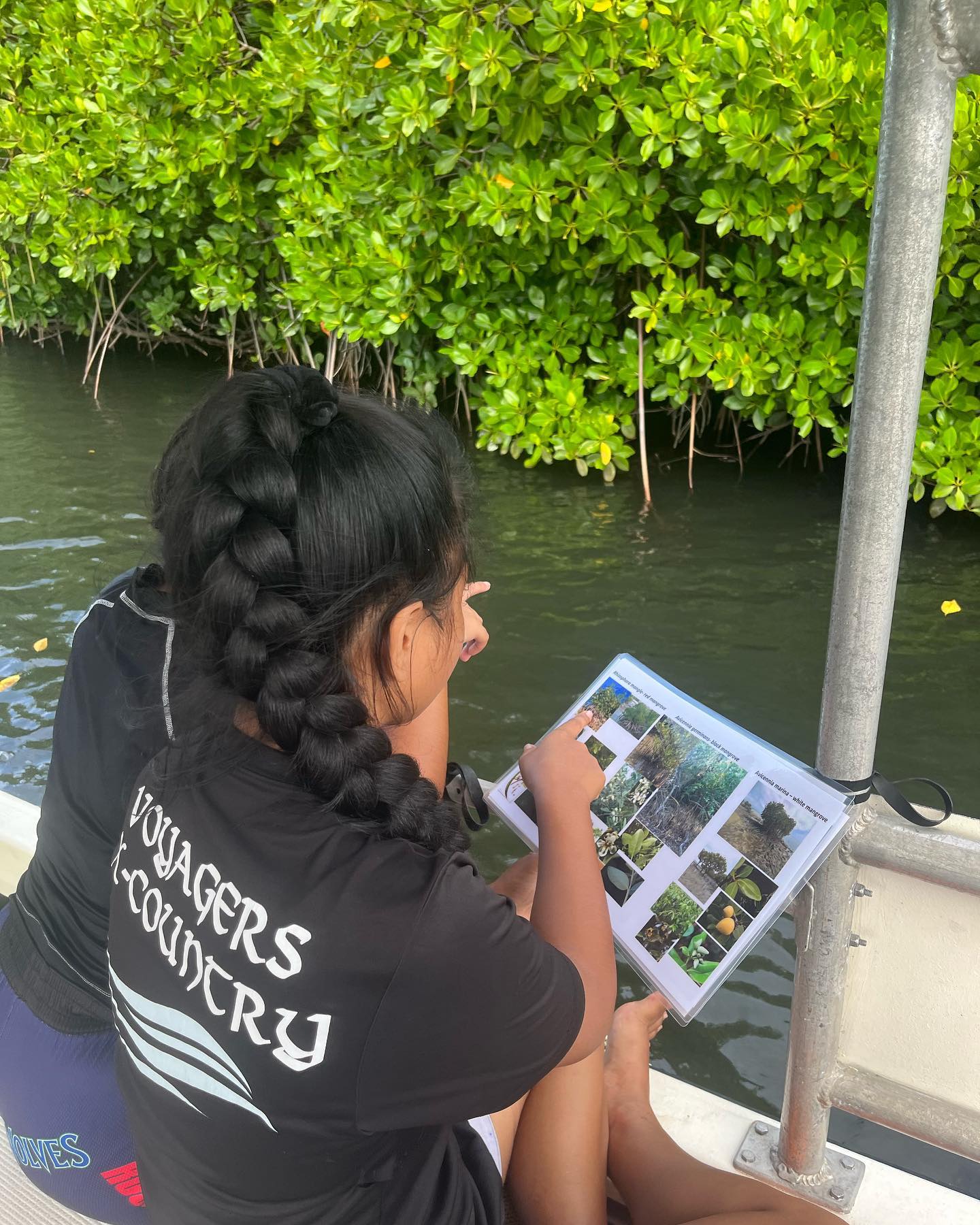 Student identifying Mangroves, German Channel
