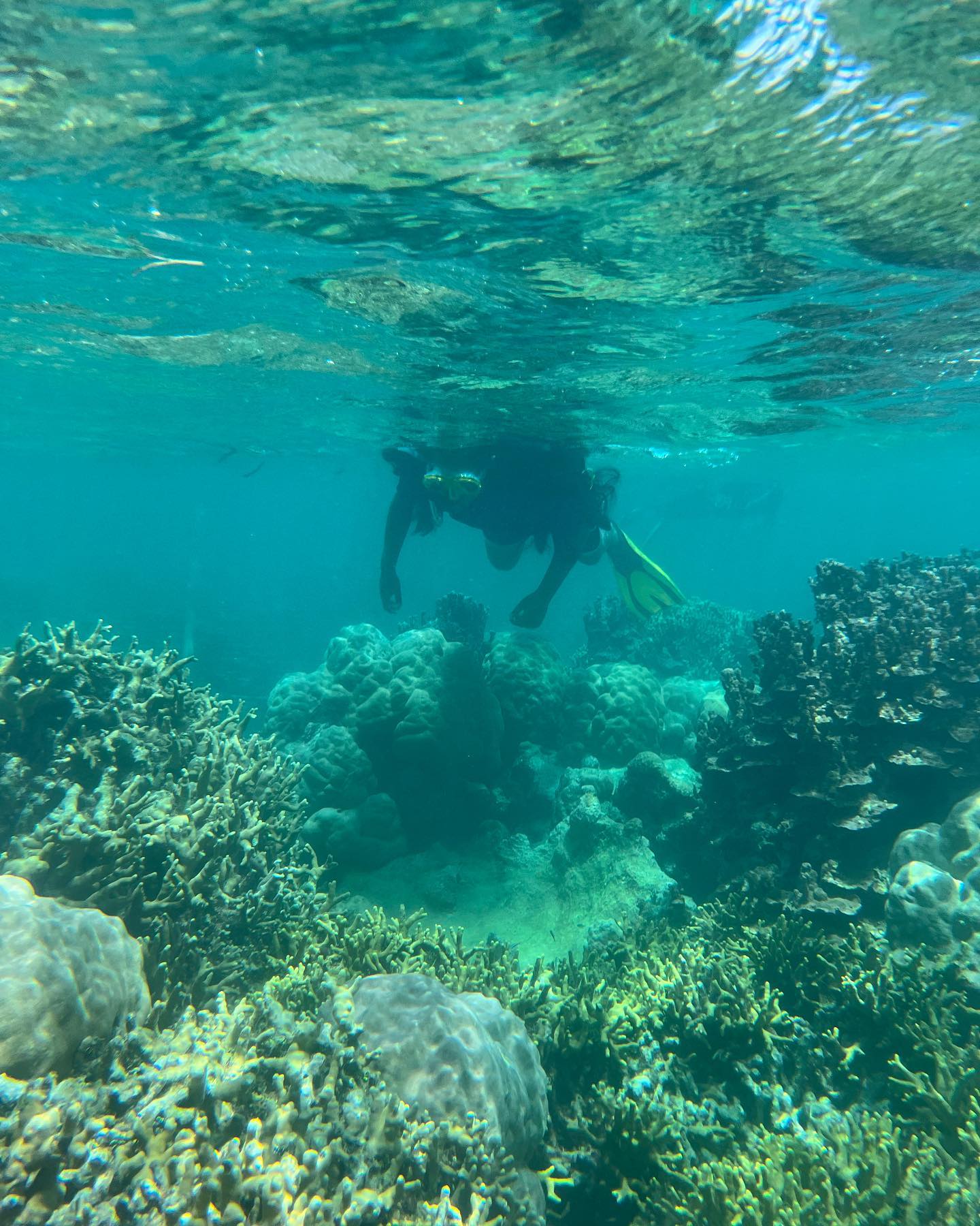 snorkeling over the coral reef at Slow n' Easy Dive Site, Tamil Harbor snorkeling over the coral reef at Slow n' Easy Dive Site, Tamil Harbor